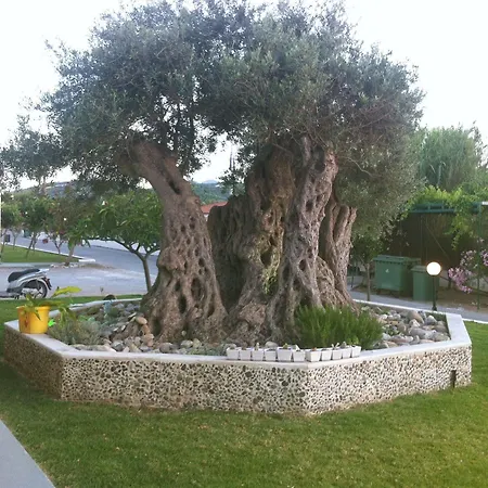 Mediterranean & Aparthotel